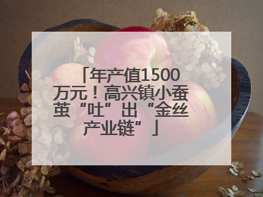 年产值1500万元！高兴镇小蚕茧“吐”出“金丝产业链”