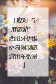 应对“过度旅游” 西班牙伊维萨岛限制旅游用车数量