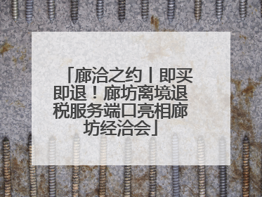 廊洽之约丨即买即退！廊坊离境退税服务端口亮相廊坊经洽会
