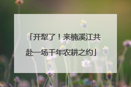 开犁了！来楠溪江共赴一场千年农耕之约