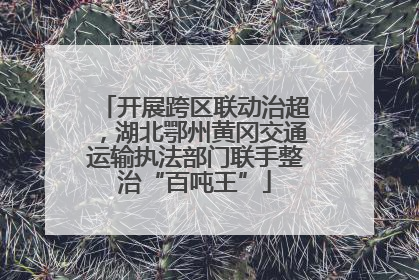 开展跨区联动治超，湖北鄂州黄冈交通运输执法部门联手整治“百吨王”