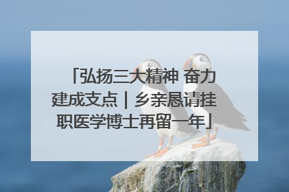 弘扬三大精神 奋力建成支点｜乡亲恳请挂职医学博士再留一年