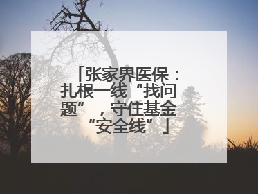 张家界医保：扎根一线“找问题”，守住基金“安全线”