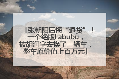 张朝阳后悔“退货”！一个绝版Labubu，被胡润拿去换了一辆车，整车原价值上百万元