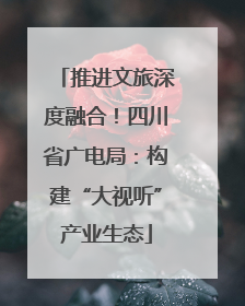 推进文旅深度融合！四川省广电局：构建“大视听”产业生态