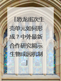 恐龙蛋次生壳单元如何形成？中外最新合作研究揭示生物成因机制