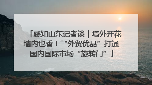 感知山东记者谈｜墙外开花墙内也香！“外贸优品”打通国内国际市场“旋转门”