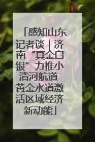 感知山东记者谈｜济南“真金白银”力推小清河航道 黄金水道激活区域经济新动能