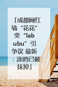 成都网红墙“花花”变“labubu”引争议 最新：涂鸦已被抹掉