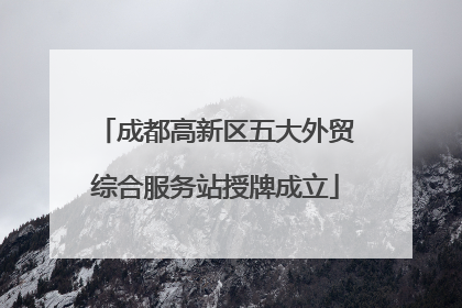 成都高新区五大外贸综合服务站授牌成立