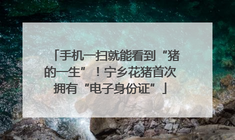 手机一扫就能看到“猪的一生”！宁乡花猪首次拥有“电子身份证”