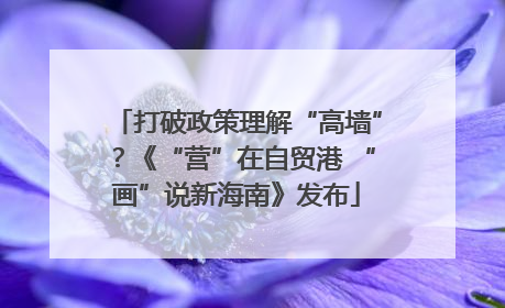 打破政策理解“高墙”？《“营”在自贸港 “画”说新海南》发布