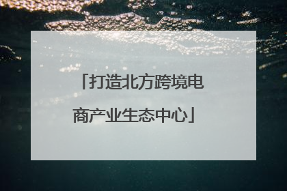 打造北方跨境电商产业生态中心