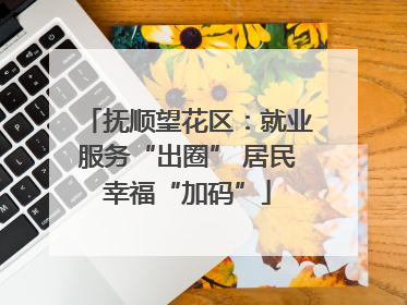 抚顺望花区：就业服务“出圈” 居民幸福“加码”