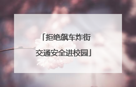 拒绝飙车炸街 交通安全进校园