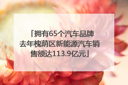 拥有65个汽车品牌 去年槐荫区新能源汽车销售额达113.9亿元