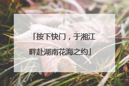按下快门，于湘江畔赴湖南花海之约