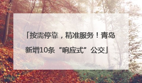 按需停靠，精准服务！青岛新增10条“响应式”公交