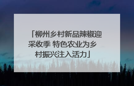柳州乡村新品辣椒迎采收季 特色农业为乡村振兴注入活力