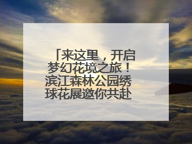 来这里，开启梦幻花境之旅！滨江森林公园绣球花展邀你共赴一场与云朵、花儿的浪漫之约