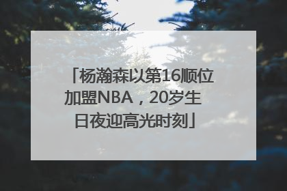 杨瀚森以第16顺位加盟NBA，20岁生日夜迎高光时刻