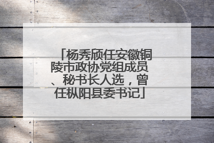 杨秀颀任安徽铜陵市政协党组成员、秘书长人选，曾任枞阳县委书记