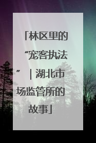 林区里的“宠客执法”｜湖北市场监管所的故事