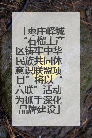 枣庄峄城“石榴主产区铸牢中华民族共同体意识联盟项目”将以“六联”活动为抓手深化品牌建设