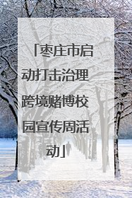 枣庄市启动打击治理跨境赌博校园宣传周活动