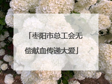 枣阳市总工会无偿献血传递大爱