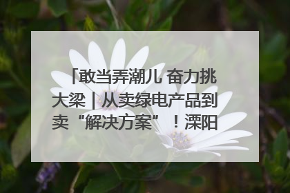 敢当弄潮儿 奋力挑大梁｜从卖绿电产品到卖“解决方案”！溧阳立足产业优势建成五大微电网示范项目