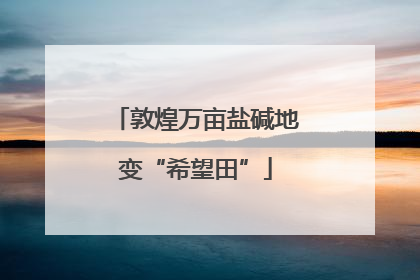 敦煌万亩盐碱地变“希望田”