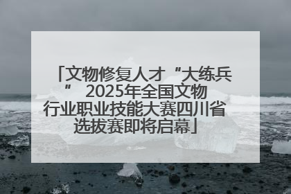 文物修复人才“大练兵” 2025年全国文物行业职业技能大赛四川省选拔赛即将启幕