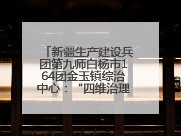 新疆生产建设兵团第九师白杨市164团金玉镇综治中心：“四维治理”淬炼边疆“枫桥样本”