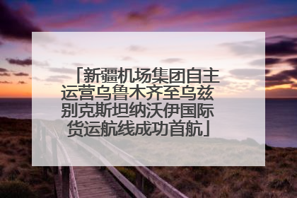 新疆机场集团自主运营乌鲁木齐至乌兹别克斯坦纳沃伊国际货运航线成功首航