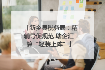 新乡县税务局：精辅导促规范 助企汇算“轻装上阵”