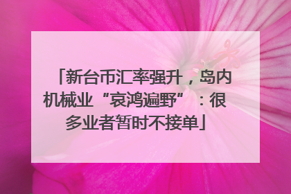 新台币汇率强升，岛内机械业“哀鸿遍野”：很多业者暂时不接单
