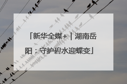 新华全媒+｜湖南岳阳：守护碧水迎蝶变