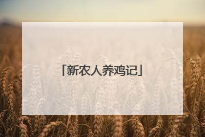 新农人养鸡记