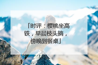 时评：樱桃坐高铁，早晨枝头摘，傍晚到餐桌