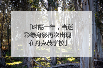 时隔一年，当迷彩绿身影再次出现在丹克茂学校