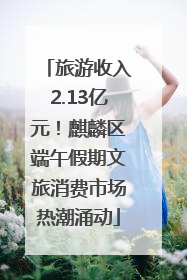旅游收入2.13亿元！麒麟区端午假期文旅消费市场热潮涌动
