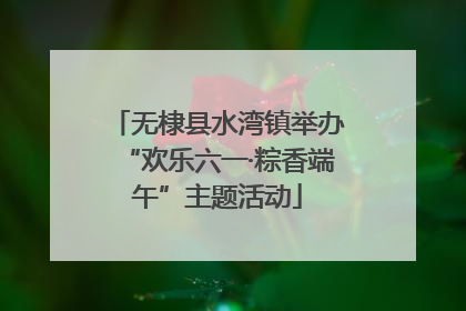 无棣县水湾镇举办“欢乐六一·粽香端午”主题活动