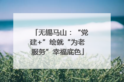 无锡马山：“党建+”绘就“为老服务”幸福底色