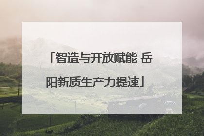 智造与开放赋能 岳阳新质生产力提速