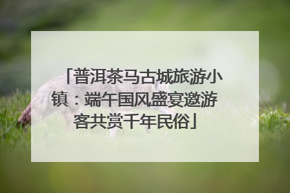 普洱茶马古城旅游小镇：端午国风盛宴邀游客共赏千年民俗