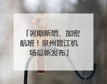 暑期新增、加密航班！泉州晋江机场最新发布