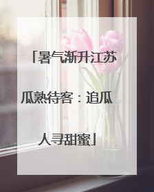暑气渐升江苏瓜熟待客：追瓜人寻甜蜜