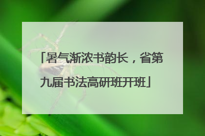 暑气渐浓书韵长，省第九届书法高研班开班
