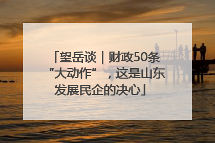 望岳谈｜财政50条“大动作”，这是山东发展民企的决心